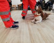 Comfort-Dog2018-Quisisana-Siena-01