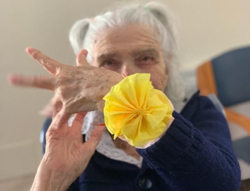 Quisisana Modigliana: Festa di Primavera