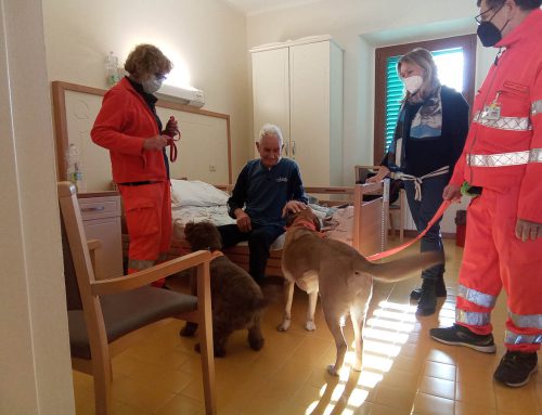 Quisisana Siena – Nuovo appuntamento con il Comfort Dog