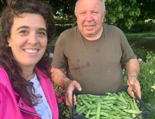 Quisisana Modigliana: Tra tradizioni e prodotti dell’orto