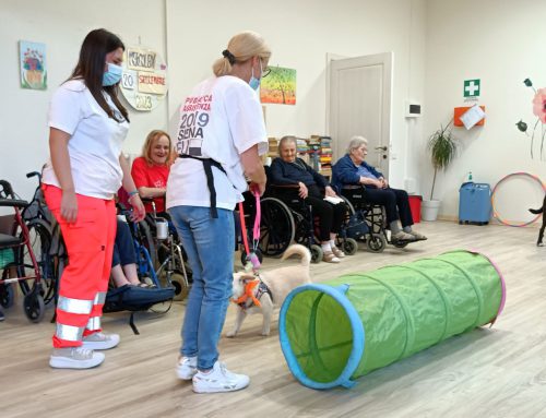 Quisisana Siena – Bentornati ai cagnolini della Comfort Dog