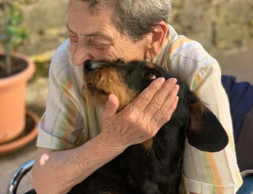 Un’Emozionante Sessione di Pet Therapy alla Residenza Quisisana Modigliana