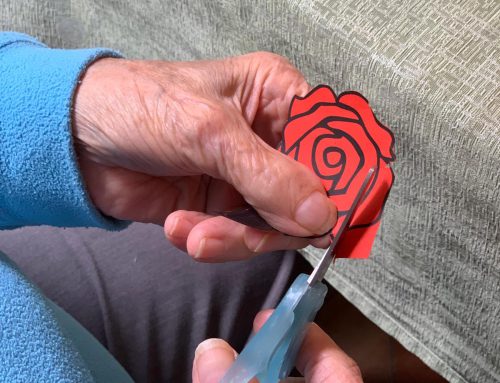 Maggio in Fiore alla Residenza Quisisana Modigliana: un Omaggio alle Mamme